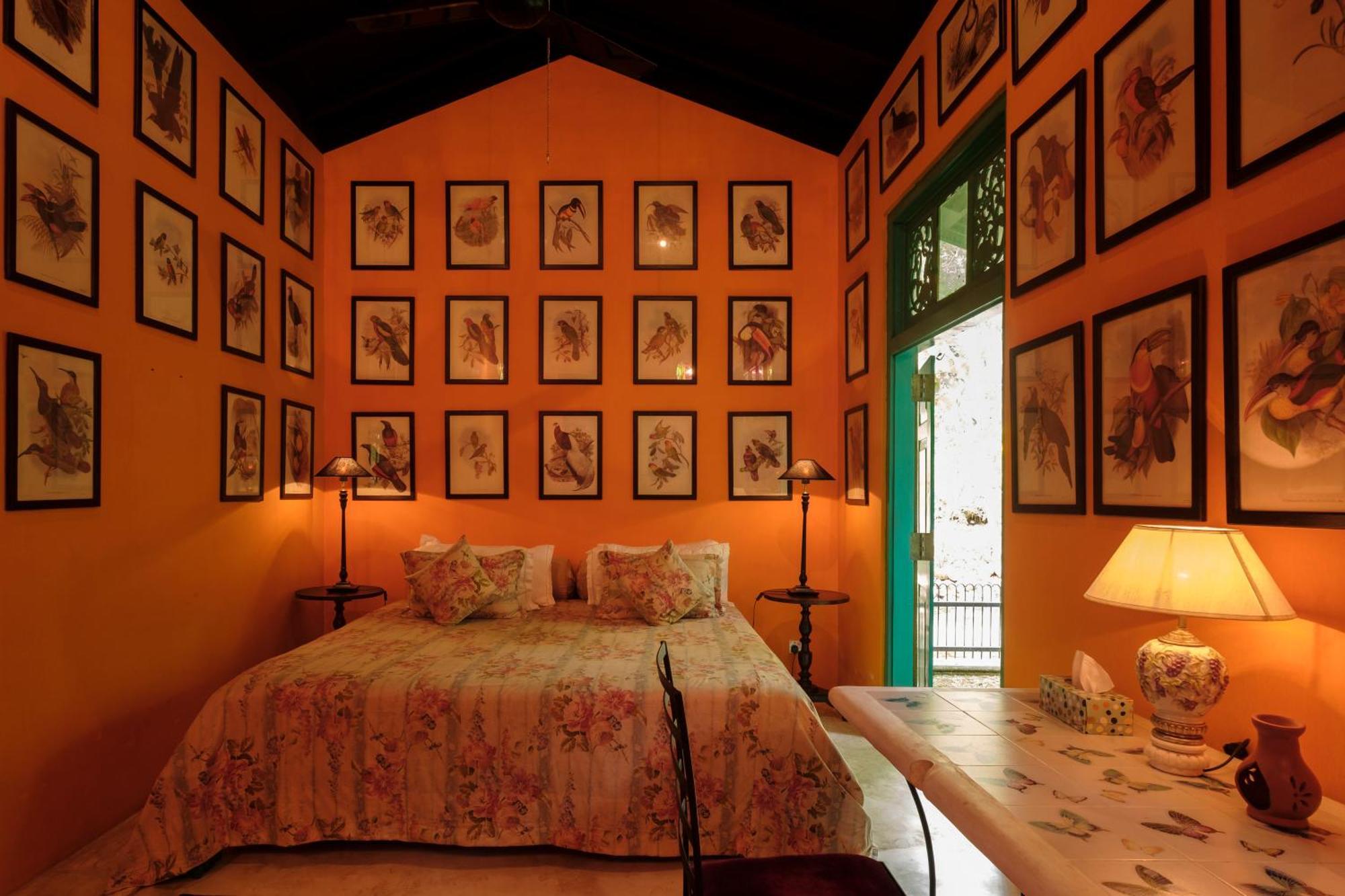 Casa Heliconia Hotel กัมปาฮา ภายนอก รูปภาพ