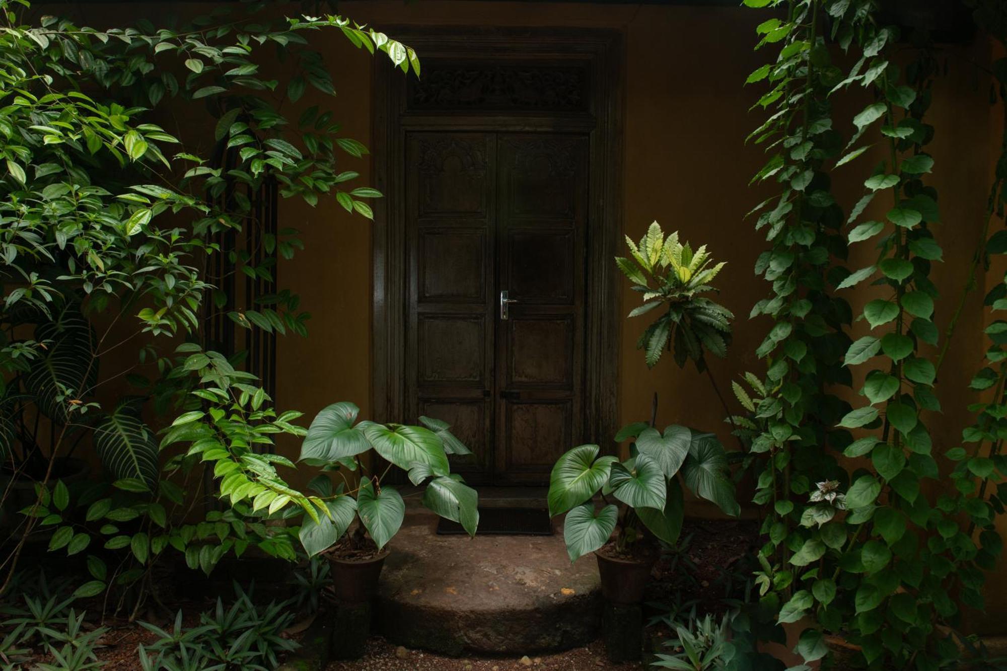 Casa Heliconia Hotel กัมปาฮา ภายนอก รูปภาพ